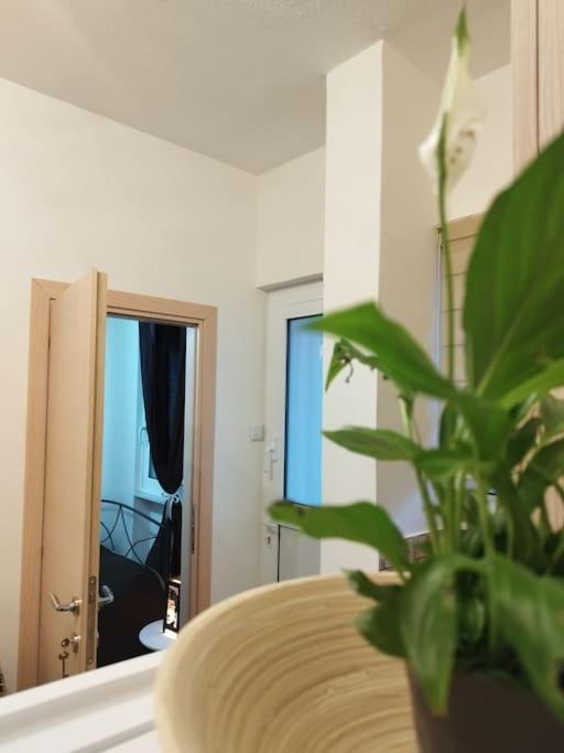 Esteticaapartments Rhodes City Zewnętrze zdjęcie